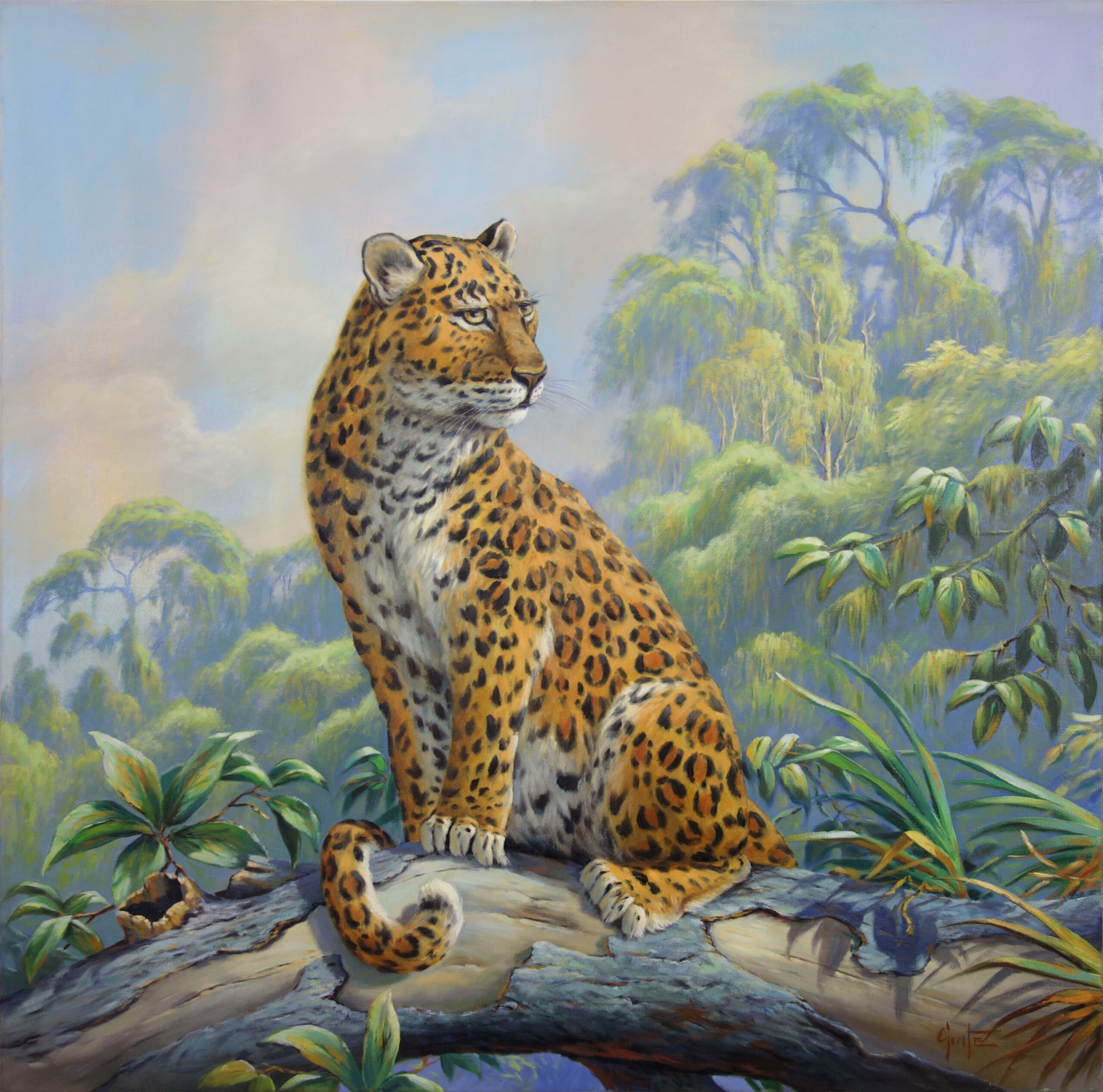 “Leopard Watching the Scene” by Erich Graf, Oil on canvas, 100 × 100 cm – original painting at Favori Art