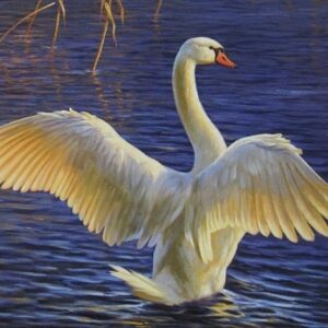 „In the evening light“ von Erich Graf, Öl auf Leinwand, 80 × 100 cm – Originalgemälde bei Favori Art