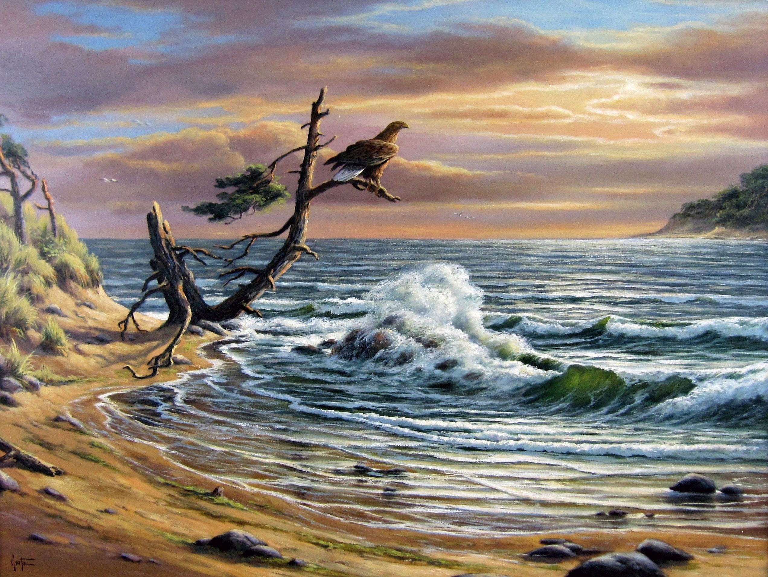 “Good View” by Erich Graf, Oil on canvas, 60 × 80 cm – original painting at Favori Art