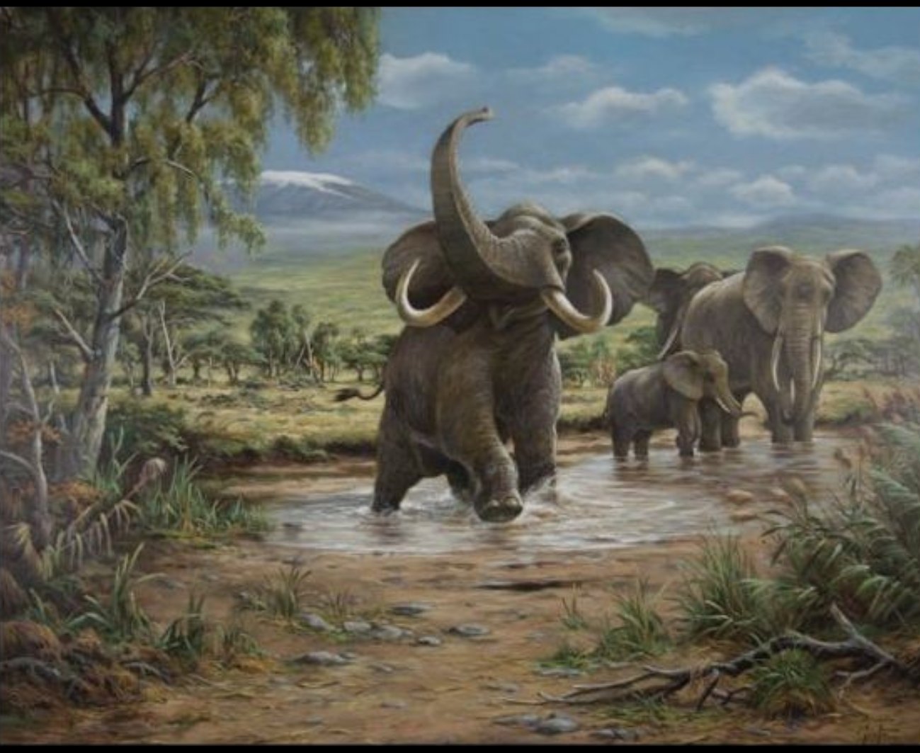 “Elephants on Kilimanjaro” by Erich Graf, Oil on canvas, 80 × 100 cm – original painting at Favori Art