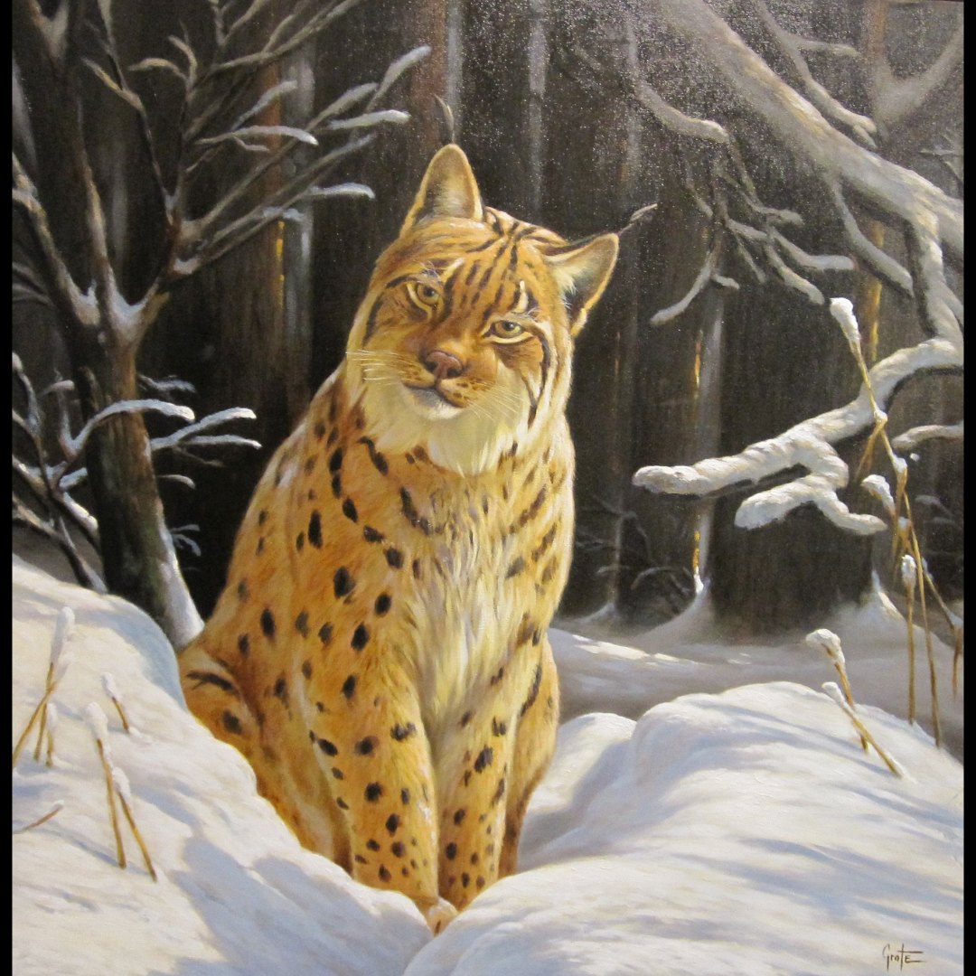 „Lynx winter landscape“ von Erich Graf, auf Malplatte in Öl, 80 × 80 cm – Originalgemälde bei Favori Art