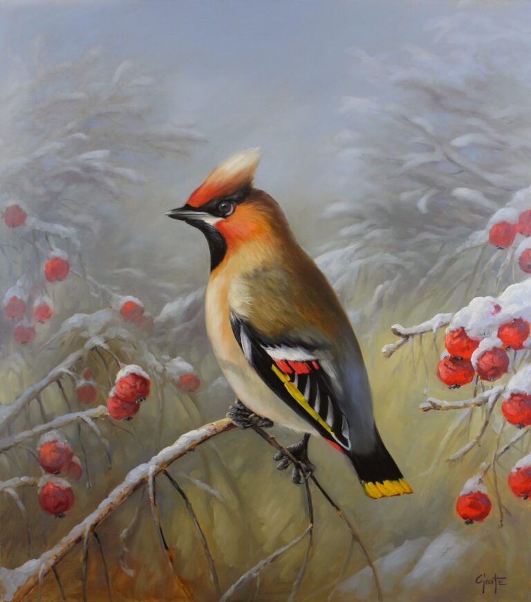 „Waxwing bird“ von Erich Graf, Öl auf Leinwand, 90 × 80 cm – Originalgemälde bei Favori Art