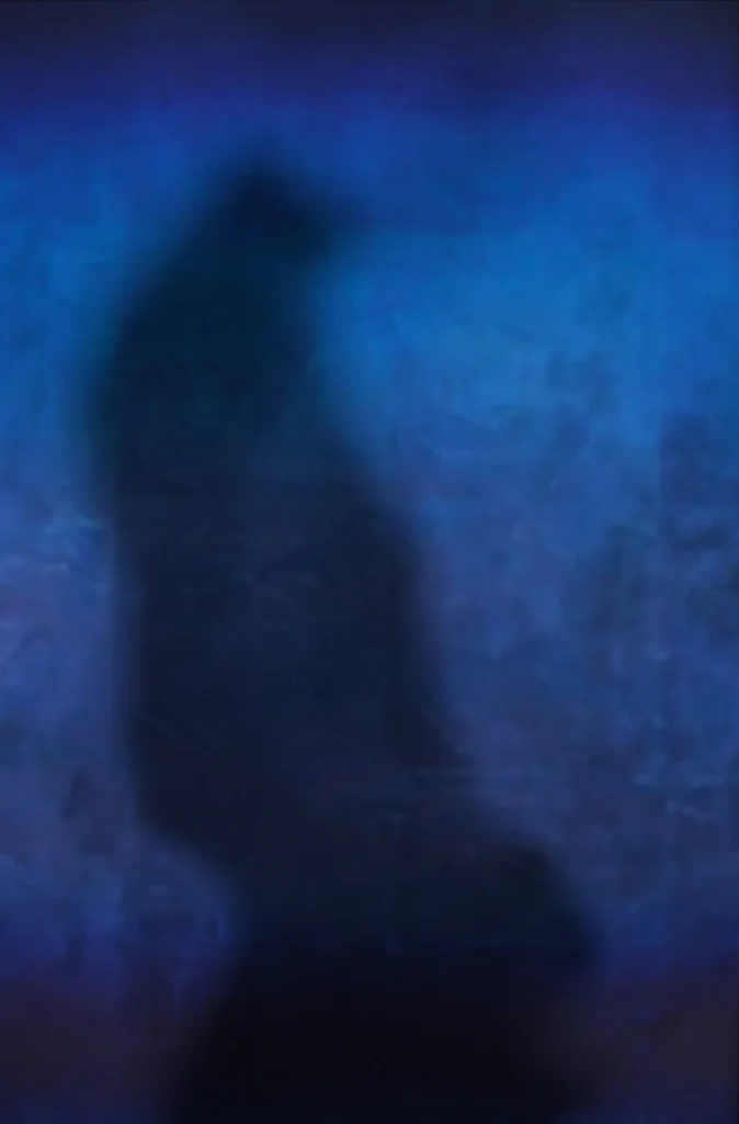 Olli Boehm, Blue Shadow