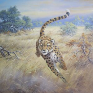 „Jagender Gepard“ von Erich Graf, Öl auf Leinwand, 80 × 100 cm – Originalgemälde bei Favori Art