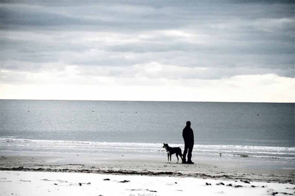 Olli Boehm, Man with Dog