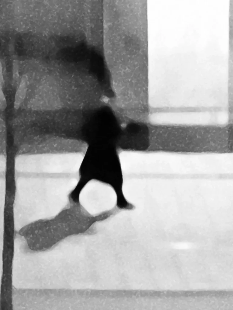 Olli Boehm, The Walker